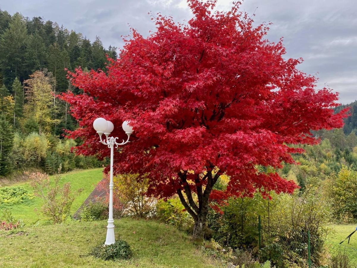 Ferienwohnung Zur Bierliebe - Mit Toller Aussicht Im Herzen Des Schwarzwaldes Hornberg Exterior foto