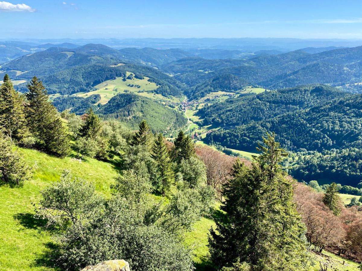Ferienwohnung Zur Bierliebe - Mit Toller Aussicht Im Herzen Des Schwarzwaldes Hornberg Exterior foto