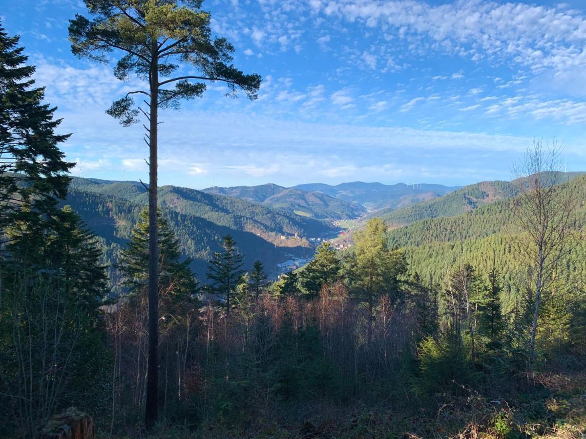 Ferienwohnung Zur Bierliebe - Mit Toller Aussicht Im Herzen Des Schwarzwaldes Hornberg Exterior foto