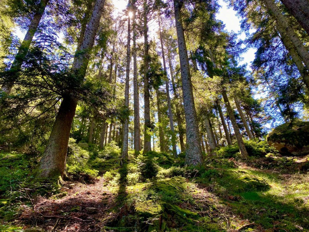 Ferienwohnung Zur Bierliebe - Mit Toller Aussicht Im Herzen Des Schwarzwaldes Hornberg Exterior foto