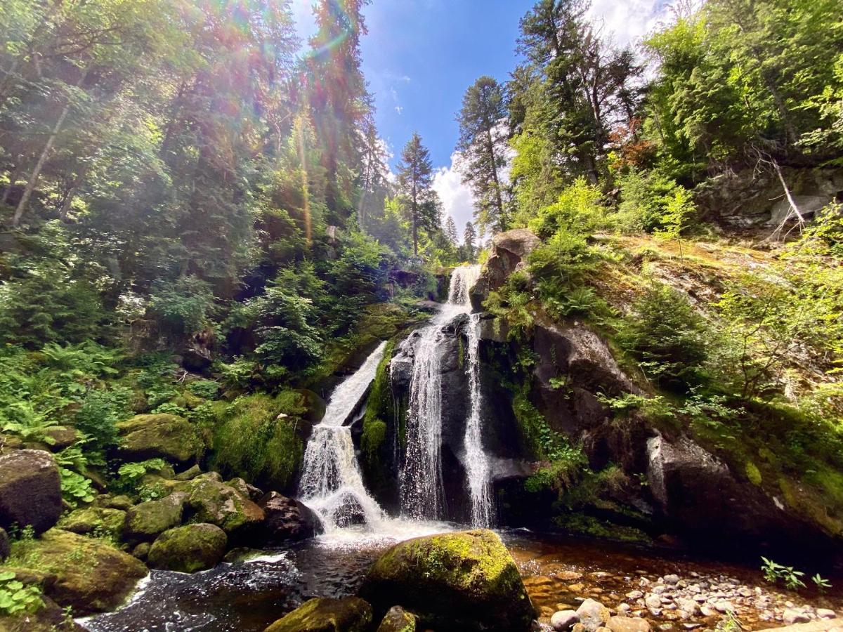 Ferienwohnung Zur Bierliebe - Mit Toller Aussicht Im Herzen Des Schwarzwaldes Hornberg Exterior foto